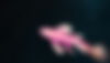 Design ohne Titel.png