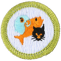pets2.jpg