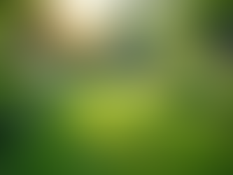 The Importance of Sustainable Living in Today's World