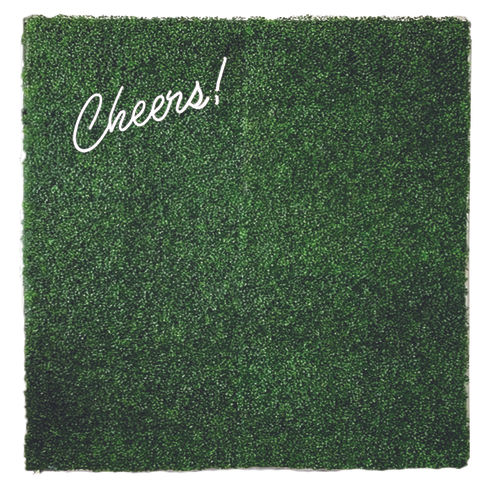 Long Island Green Hedge Wall Back Drop