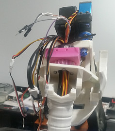 Dude The Robot
