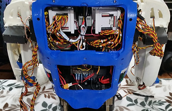 Dude The Robot