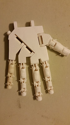 5 fingers left hand
