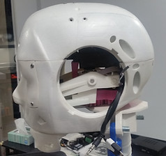 Dude The Robot