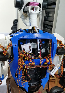 Dude The Robot