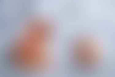 Microbioma y Salud Sexual Masculina: El Secreto Oculto para Potenciar tu Virilidad en Men Solutions en Madrid