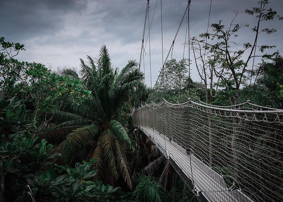 Canopy Walkway
