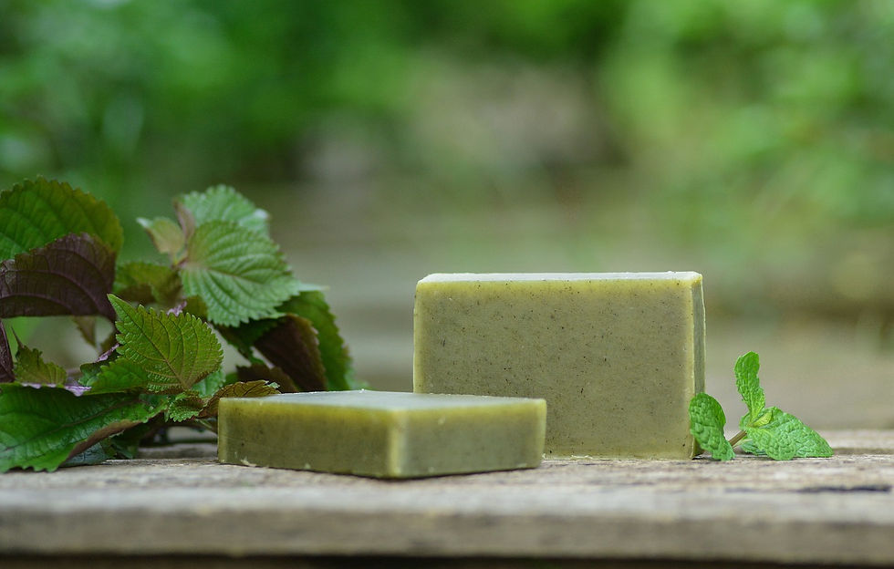 Shiso (Perilla) Seife herstellen