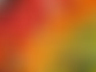 Tomaten veredeln - So steigerst du deinen Ertrag