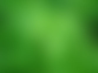 Stevia erfolgreich anbauen und pflegen: So geht’s im Garten und Topf!