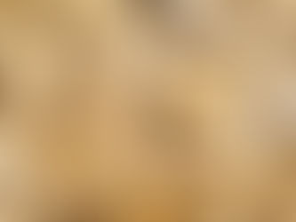 Kürbiskernextrakt gegen Haarausfall: Natürlicher DHT-Blocker mit wissenschaftlicher Grundlage!