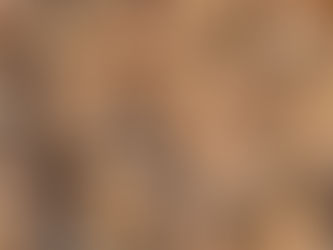 Walnuss keimen lassen: Eine Schritt-für-Schritt-Anleitung für deinen Erfolg 🌱