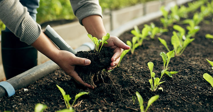 Biologischen Dünger herstellen