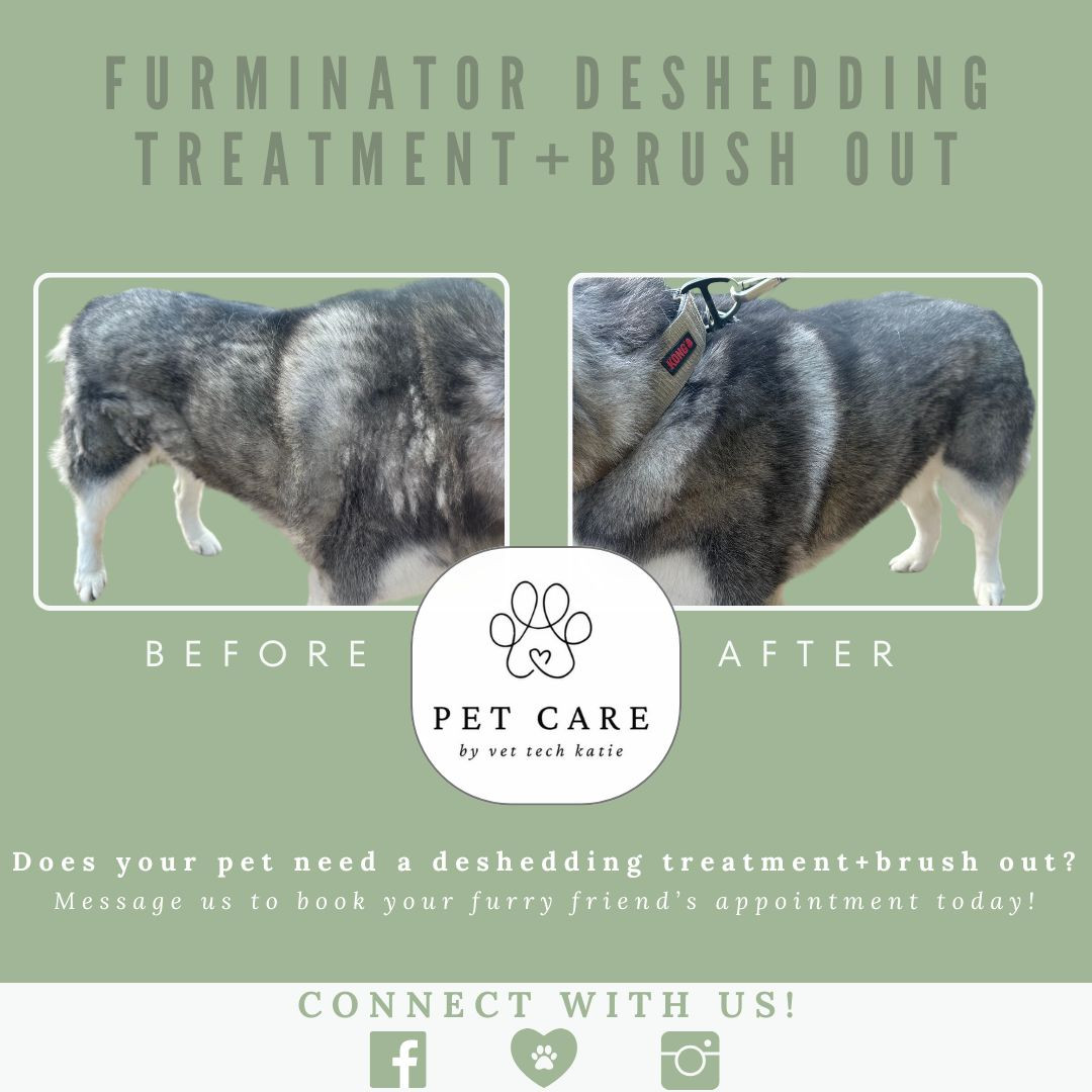 FURminator De-Shedding Treatment + Brush Out