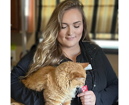 Stress-free, in-home care for cats - no stressful car rides or carriers!