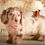 Thumbnail: Biscuit- Chocolate and Cream Dapple, long coat
