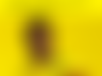 ⚽🐆 Bucaramanga ficha a Félix Charrupí: ¡nuevo rugido en la mitad del campo!