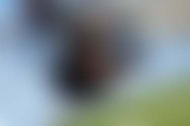 😡 “Lo que me preocupa”: Polilla Da Silva explotó contra el arbitraje tras la victoria de América