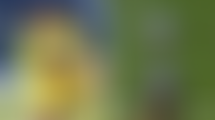 🕚Atlético Bucaramanga: El Leopardo ruge en la Libertadores 2025 🏆🐆