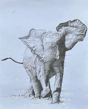 Screenshot 2023-10-15 at 10.56_edited.jp