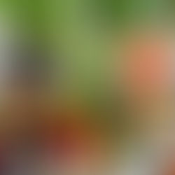 ¿CÓMO GUARDO MIS COMIDAS?