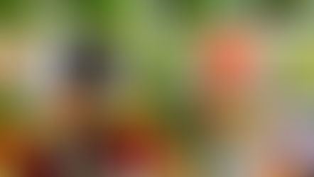 ¿CÓMO GUARDO MIS COMIDAS?
