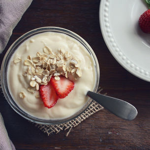 EL YOGURT