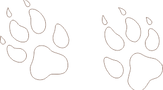 khulukhulu_servalpaw.png