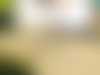 Learning and Growing in 2020 