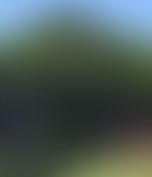 New Year, where did you go?