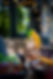 BD_Sommer_Food_23_0-15.jpg