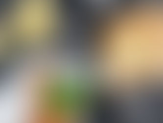 Gänse & Enten für Zuhause bestellen