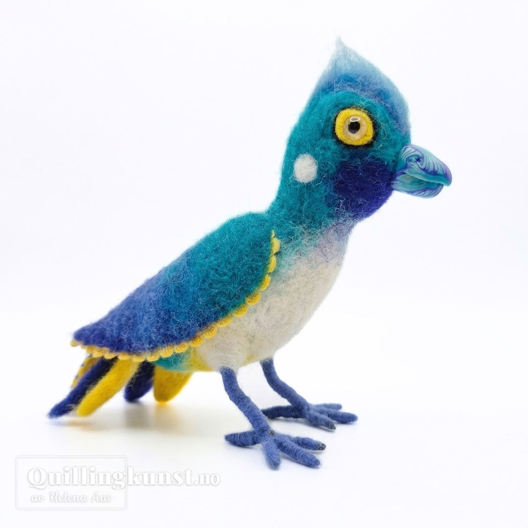 Papegøye, blå og turkis