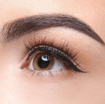 BSnew用圖 (簡報 (169)) (1).png