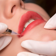 BSnew用圖 (簡報 (169)) (2).png