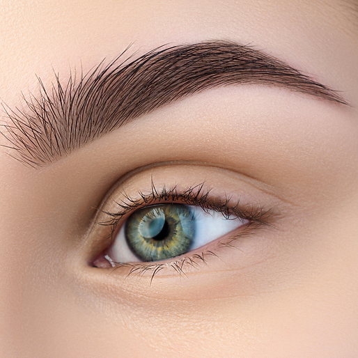 BSnew用圖 (簡報 (169)) (1).png