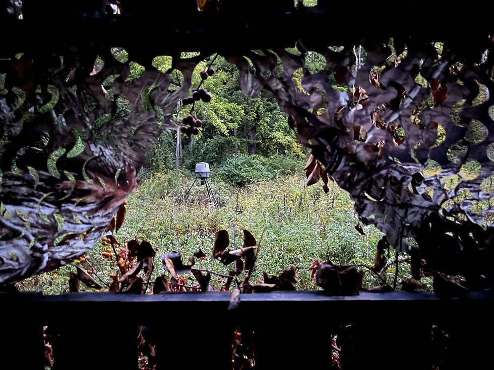 Excellence & Hunting