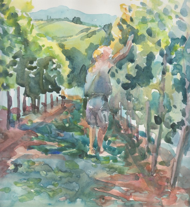 Watercolour by Rachel Mercer, Trimming the Grape Vines. Impression of Farmer at work