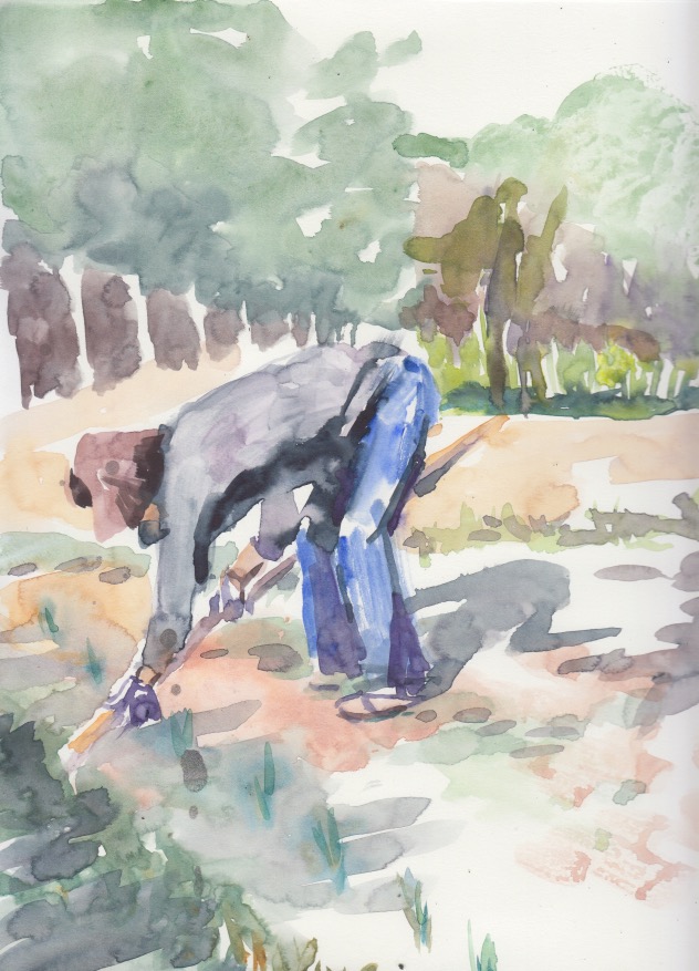 Watercolour of woman hoeing in a garden by Rachel Mercer