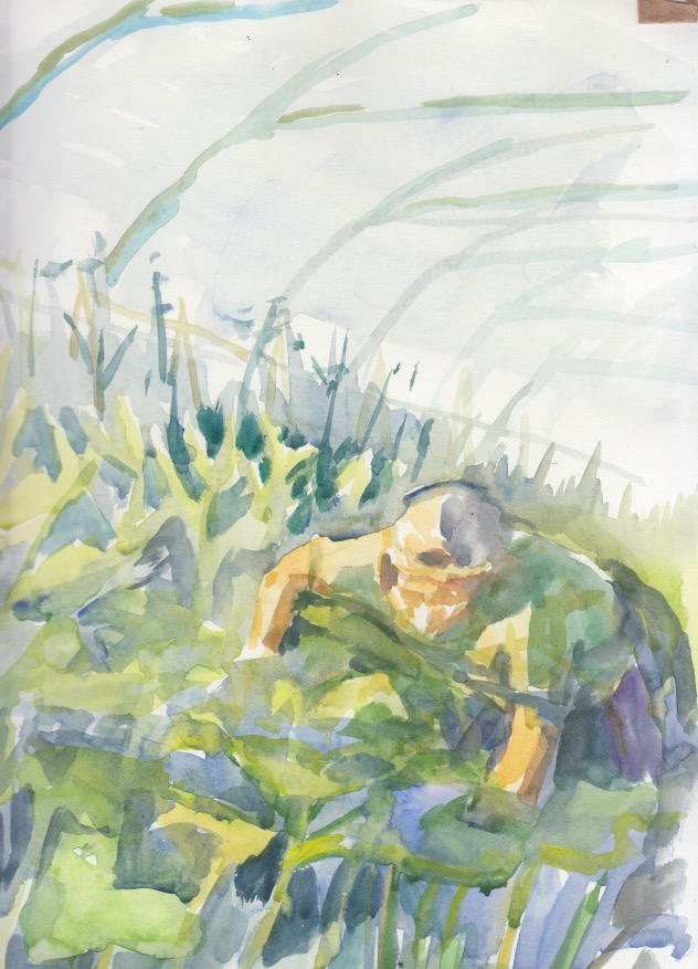 Watercolour of man searching through zucchini plants by Rachel Mercer