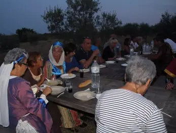 fontes parc yvan vicente association cans journee multi epoques 30 08 2018