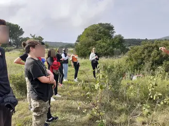 fontes parc yvan vicente association cans decouverte nature foret nourriciere et sourcellerie avec le college de gigean la foret globale