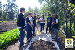 Chinampa_Educación Ambiental