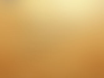 Submission by Animesh Mishra