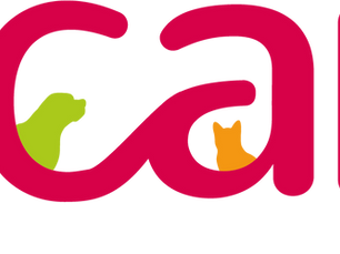 Logo de l'ICAD