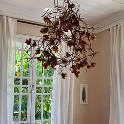 rose des bois fleur reunionnaise