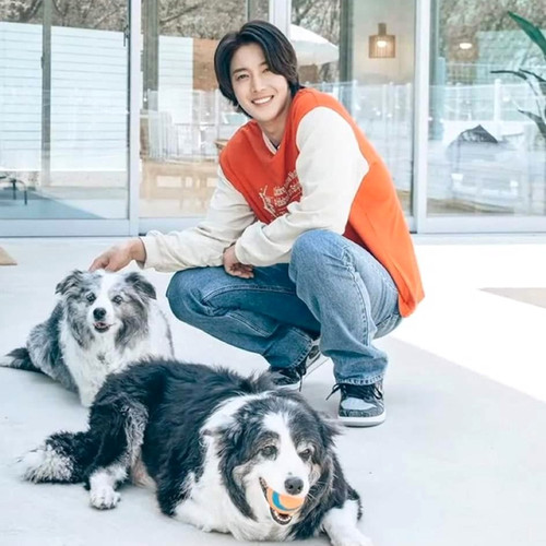 Kim Hyun Joong with Dogs | Giftorea