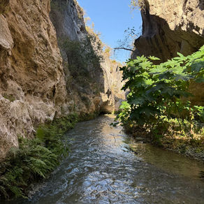 *Vive la Semana Santa en Tamaulipas: Turismo*