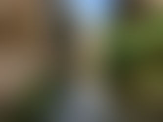 *Vive la Semana Santa en Tamaulipas: Turismo*