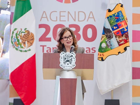*Sesionará el Consejo Estatal de la Agenda 2030 en Tampico*